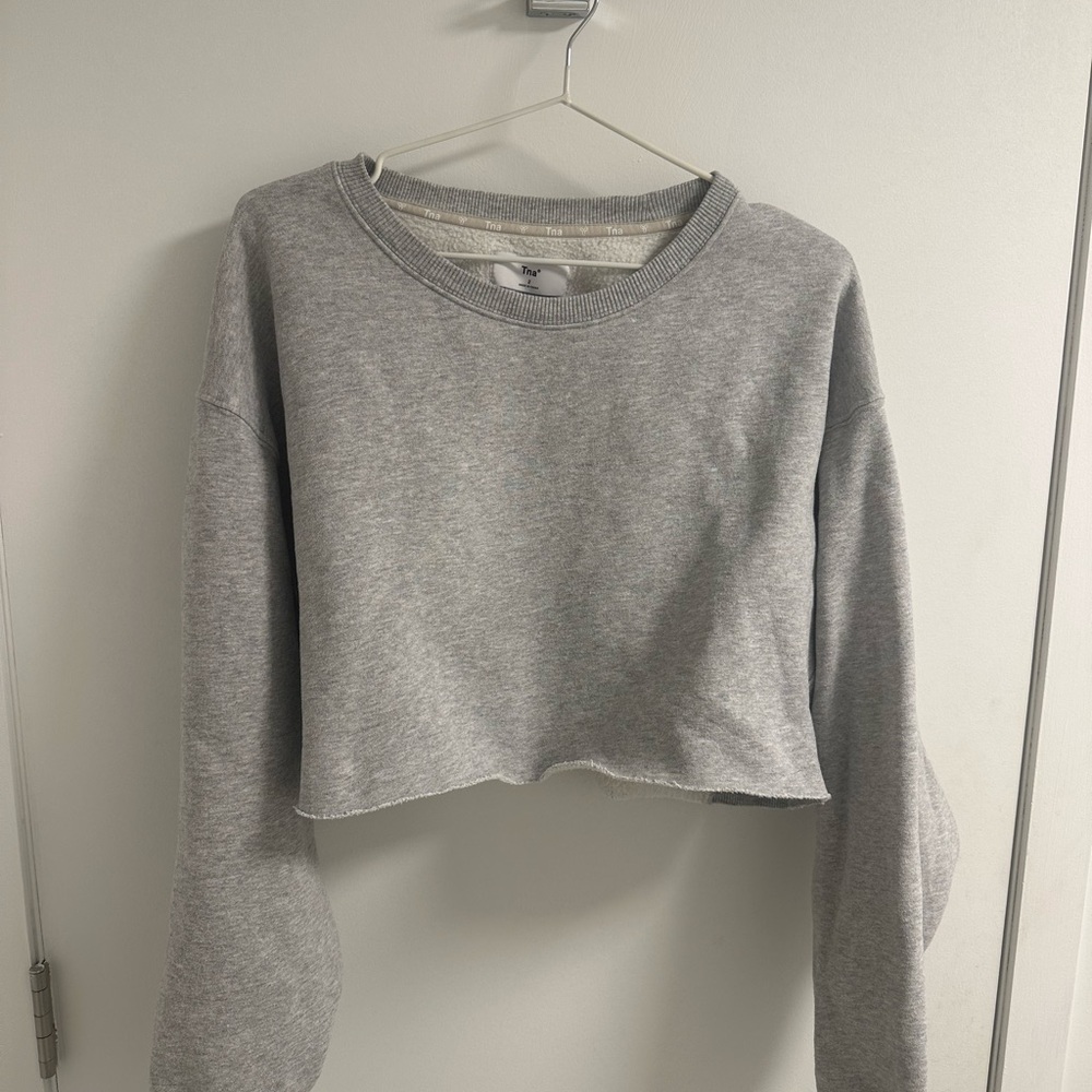 Aritzia Gray Cropped Long Sleeve Hoodie